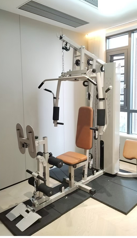 All-In-One Multi-Function Home - đánh giá và giá Home Gym All In One