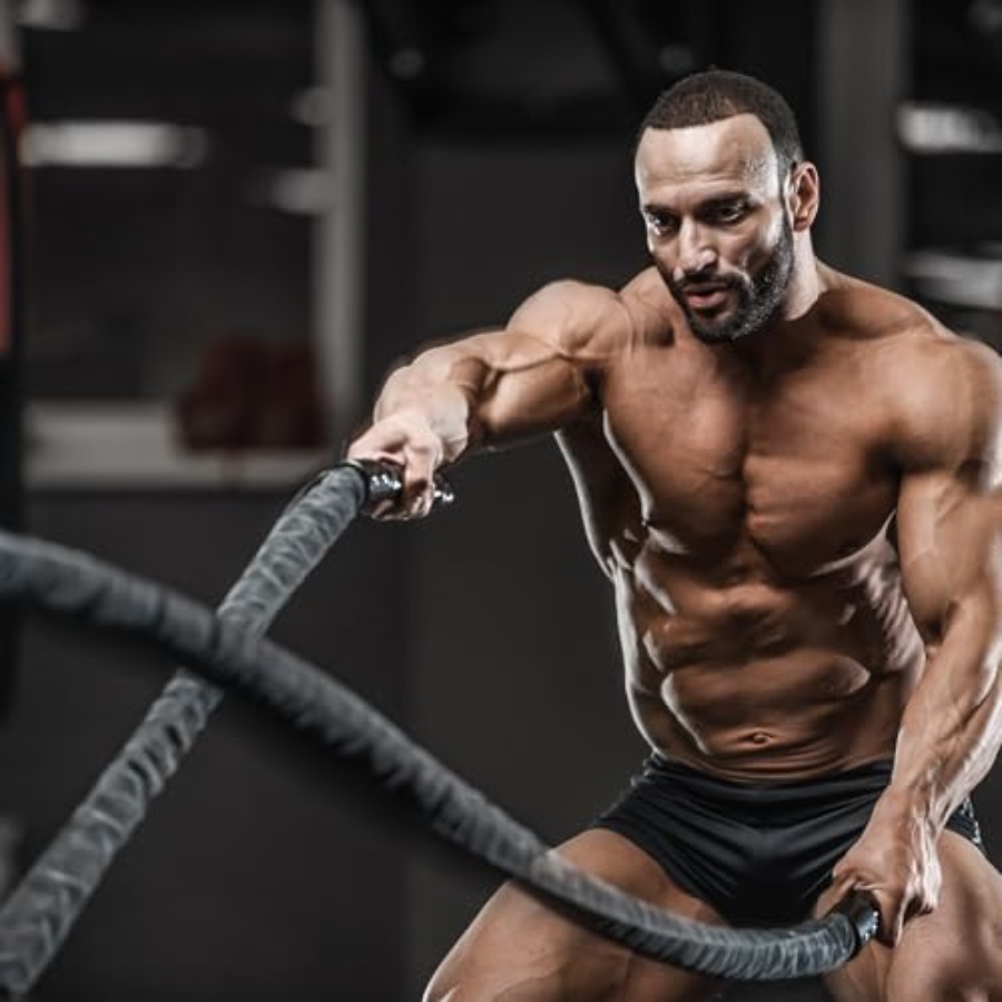 Battle Ropes Workout Rope Batt - đánh giá và giá Battle Rope Heavy