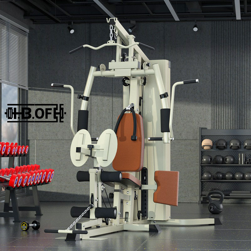 Single Person Station Comprehe - đánh giá và giá Home Gym All In One