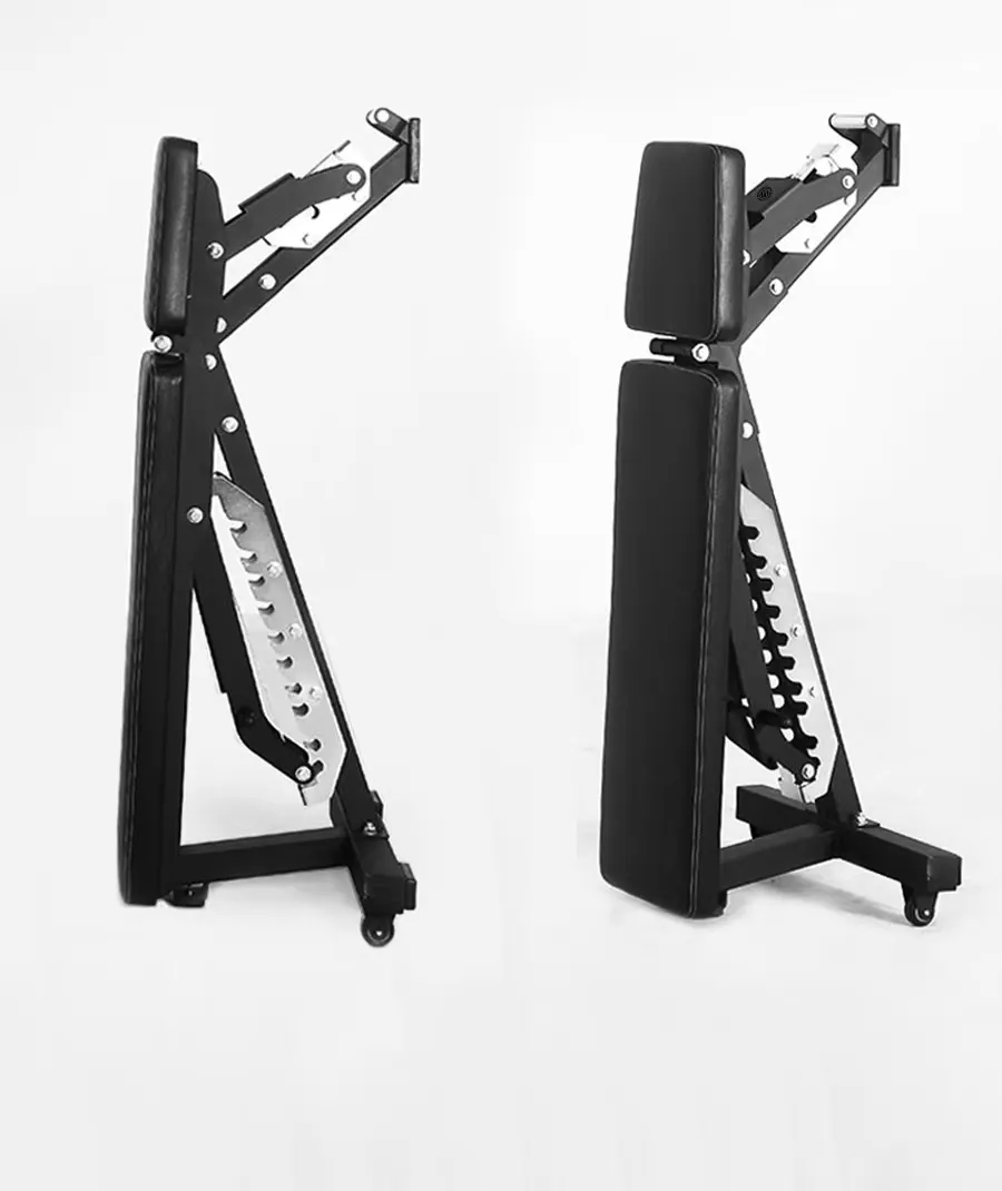 Adjustable Dumbbell Foldable B - đánh giá và giá Home Gym Dumbbells
